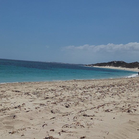 Meet your Posher, Lauren - Picture 1 of 1